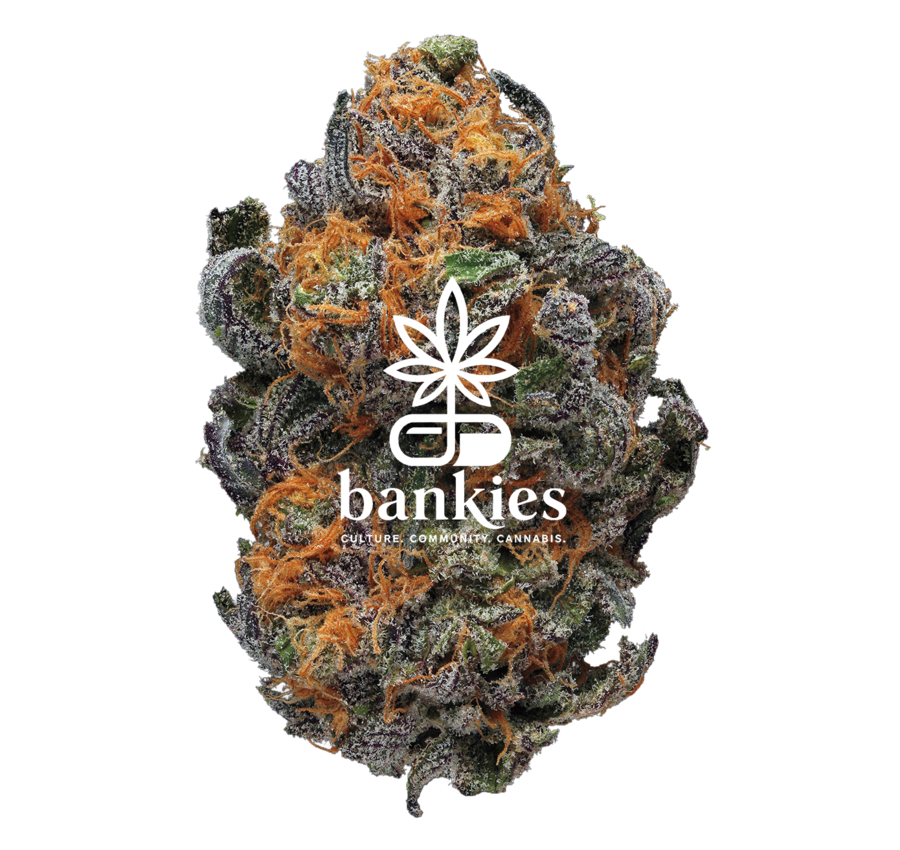 bankies.co.za
